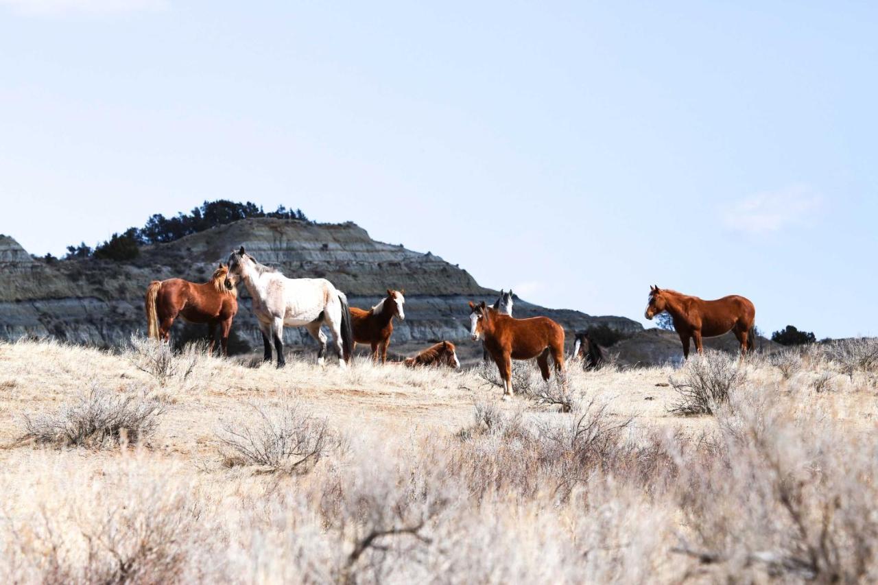 Badlands Suite Less Than 1 Mi To Teddy Roosevelt Park! Medora Eksteriør bilde
